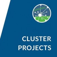Have you heard about our cluster projects?